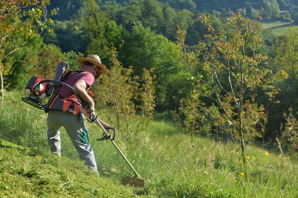 Cost of Slope Trimming in Kaysville